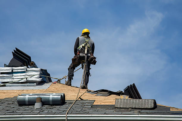 Professional Roof Replacement technician working in Stanley, ND
